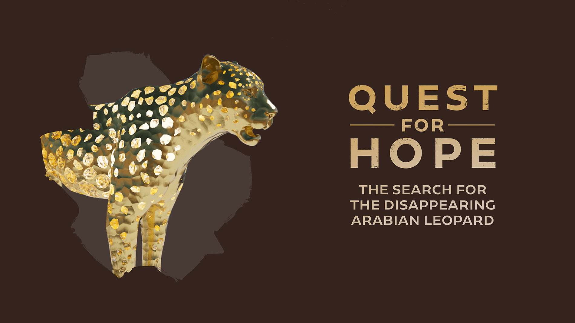 Quest for Hope